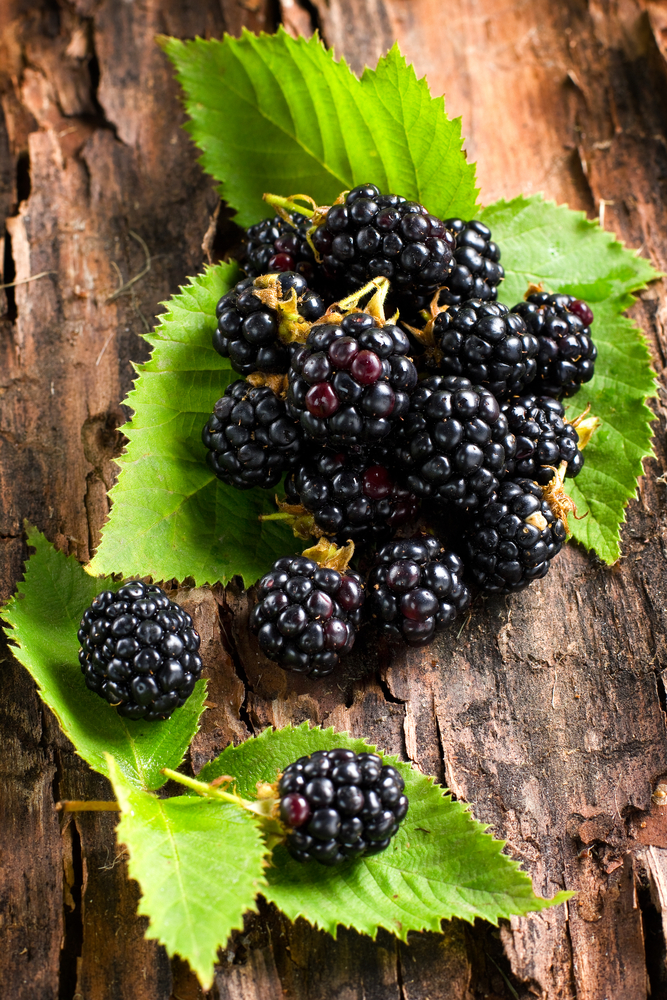 Amora Miura, fruta originária da China